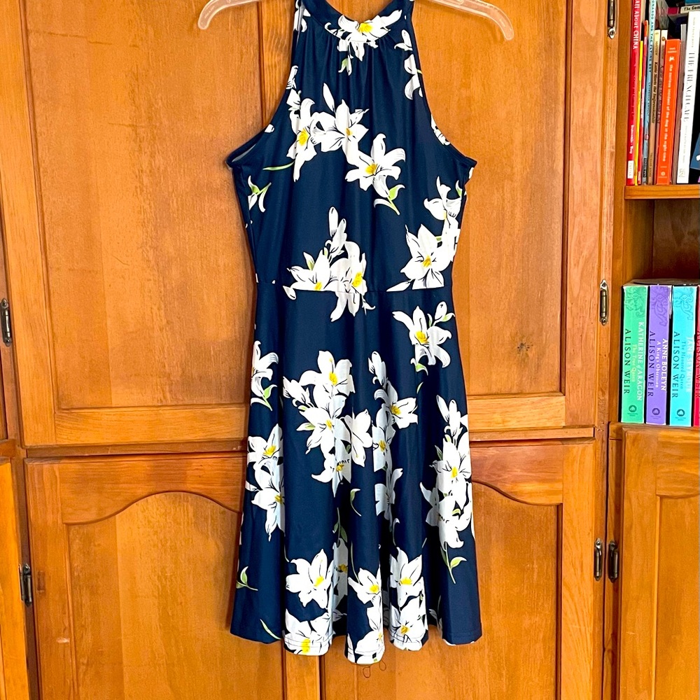 NWT Lovely Lily Dress